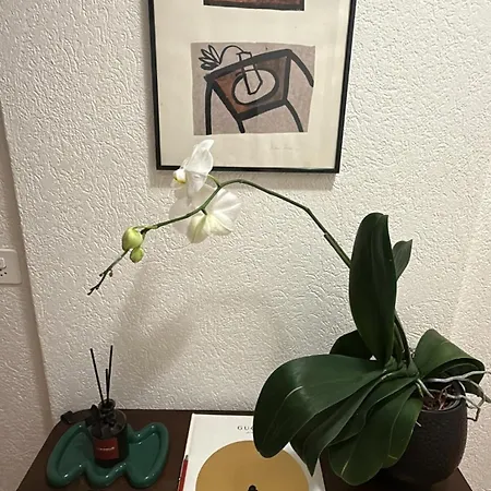 Maison Zueri Apartament