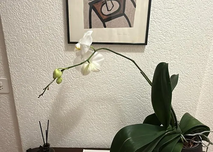 Maison Züri Apartamento