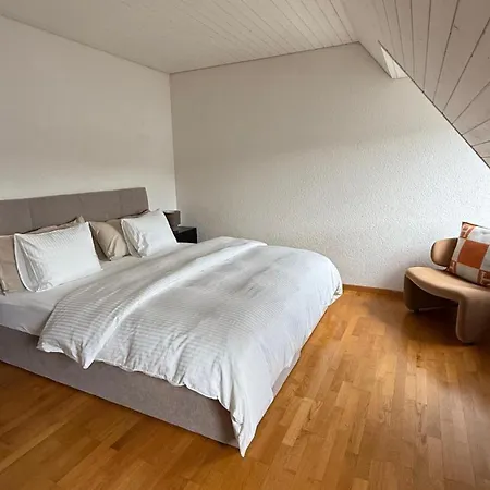 Maison Zueri 公寓 苏黎世