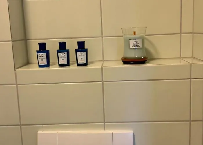 Maison Zueri דירה ציריך