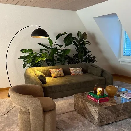 Appartamento Maison Zueri Zurigo